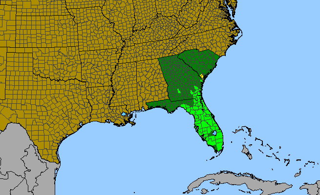 The range of Bejaria racemosa