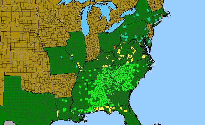 The range of Calycanthus floridus