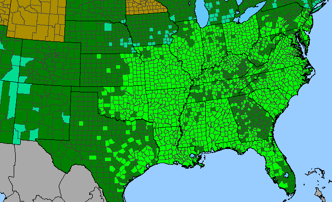 The range of Campsis radicans