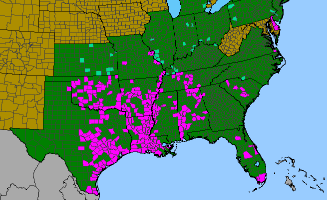 The range of Cardiospermum halicacabum