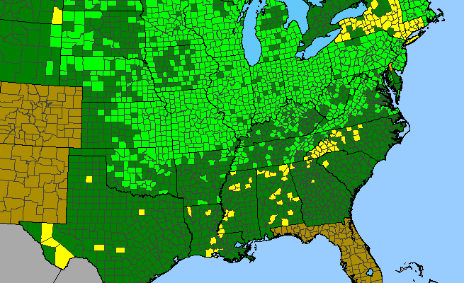 The range of Celastrus scandens