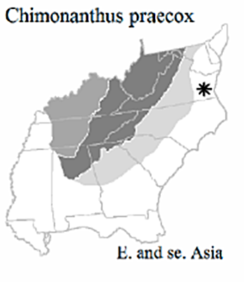 The range of Chimonanthus praecox