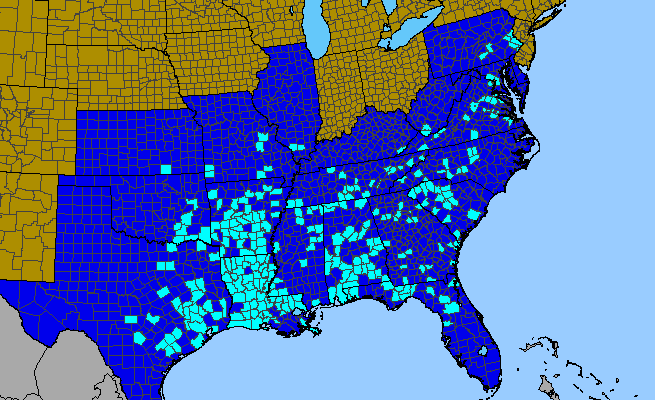 The range of Citrus trifoliata