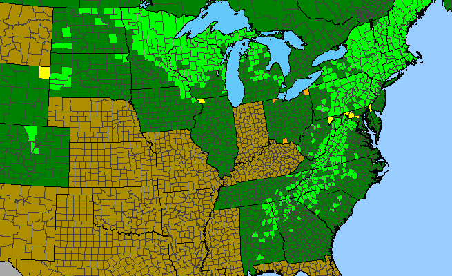 The range of Corylus cornuta