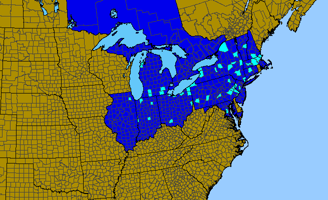 The range of Cotinus coggygria