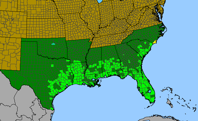 The range of Erythrina herbacea