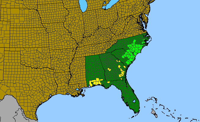 The range of Fothergilla gardenii