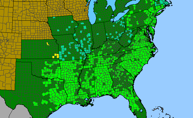 The range of Lonicera sempervirens