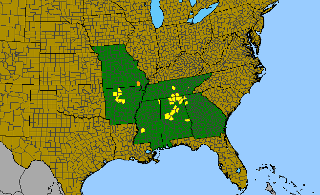 The range of Neviusia alabamensis
