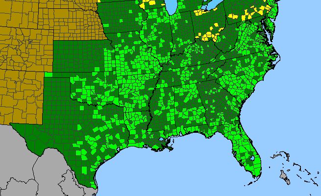 The range of Opuntia humifusa
