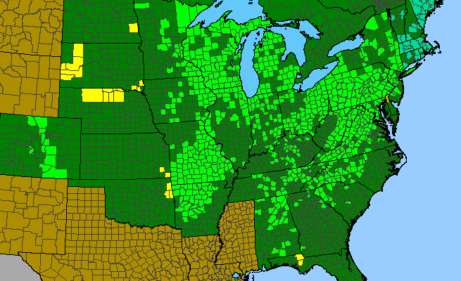 The range of Physocarpus opulifolius