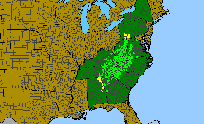 The range of Pyrularia pubera