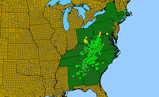 The range of Rhododendron calendulaceum