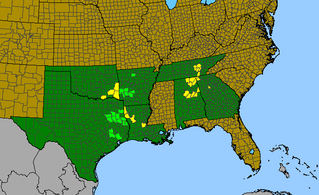 The range of Ribes curvatum