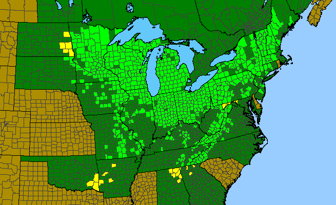 The range of Ribes cynosbati