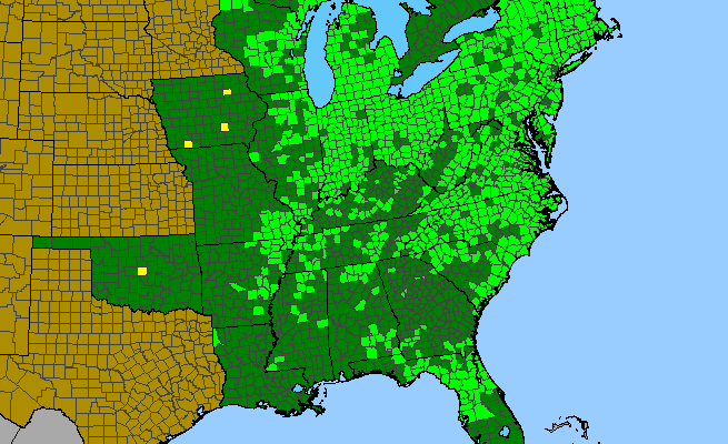 The range of Rosa palustris