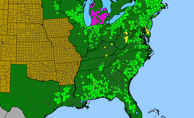 The range of Toxicodendron vernix