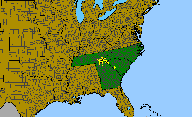 The range of Vaccinium hirsutum