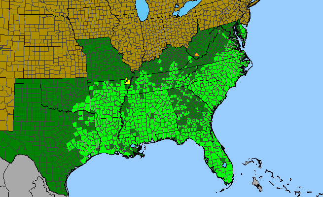 The range of Vitis rotundifolia