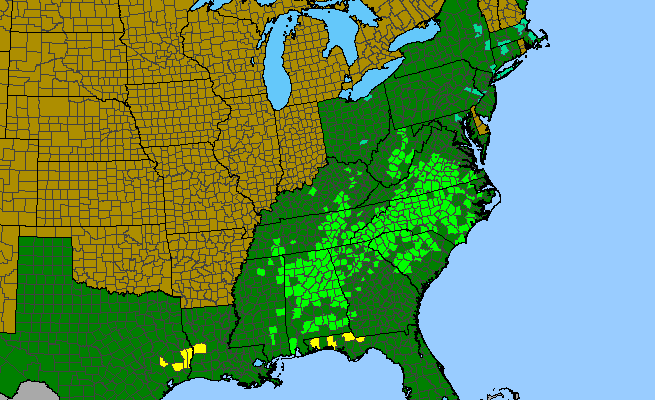 The range of Xanthorhiza simplicissima