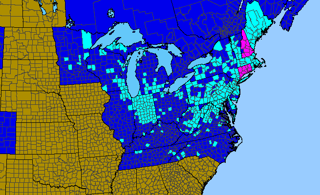 The range of Acer platanoides