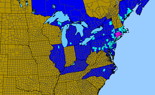 The range of Acer pseudoplatanus