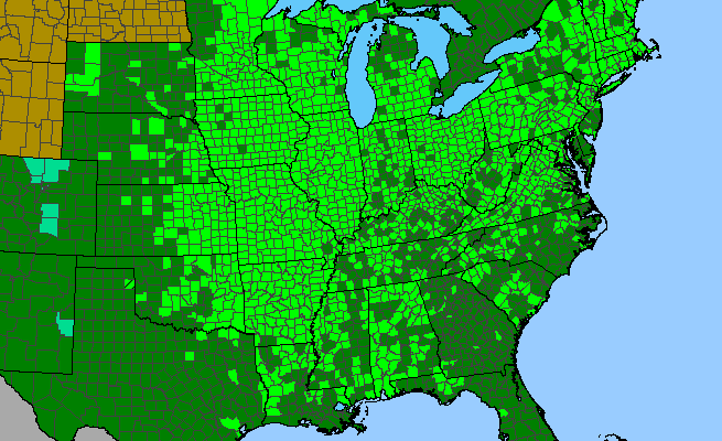 The native range of Acer saccharinum