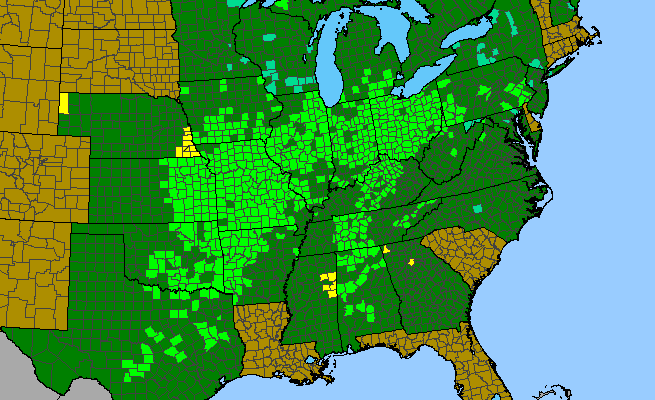 The native range of Aesculus glabra
