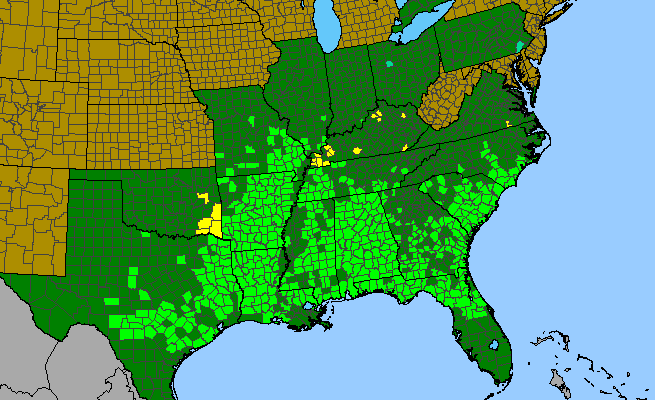 The native range of Aesculus pavia