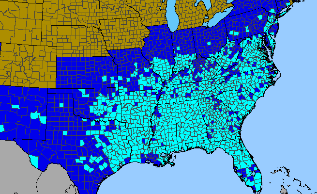 The range of Albizia julibrissin
