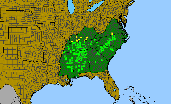 The range of Carya carolinae-septentrionalis