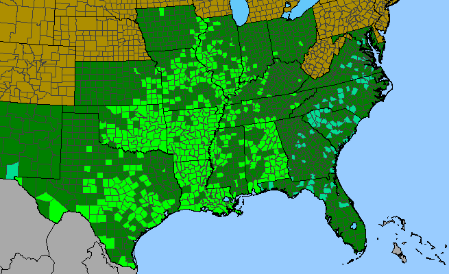 The range of Carya illinoensis