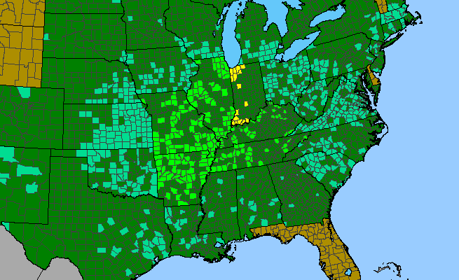 The range of Catalpa speciosa
