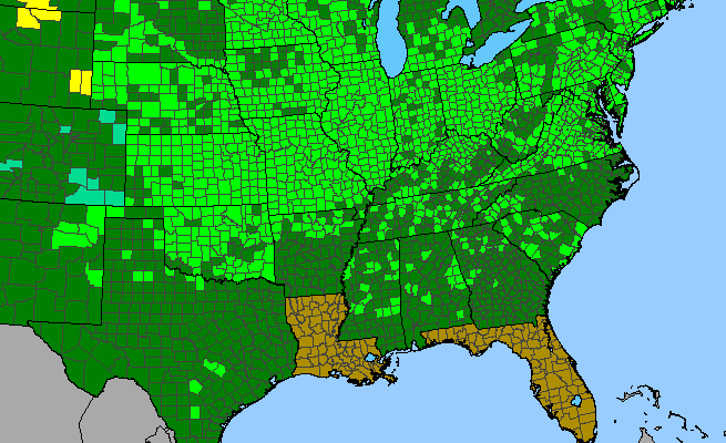 The range of Celtis occidentalis