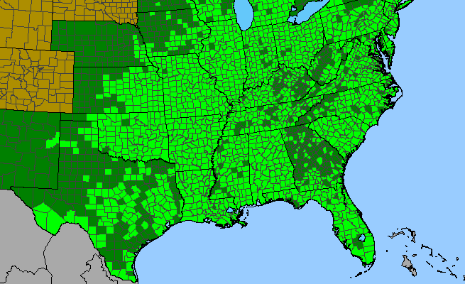 The range of Cephalanthus occidentalis