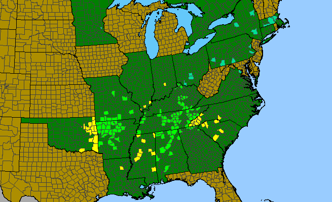 The range of Cladrastis kentukea