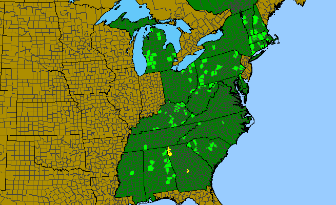 The range of Crataegus iracunda