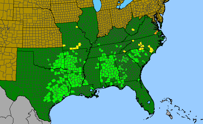 The range of Crataegus spathulata