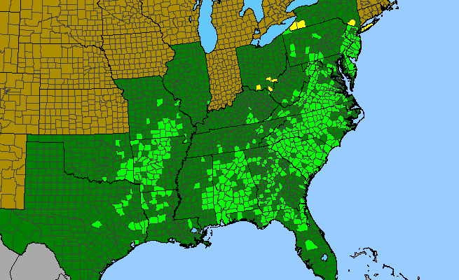 The range of Crataegus uniflora