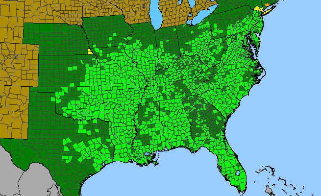 The range of Crataegus marshallii
