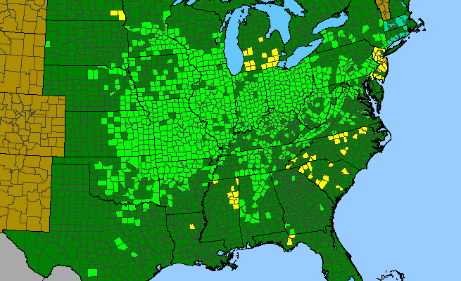 The range of Euonymus atropurpureus