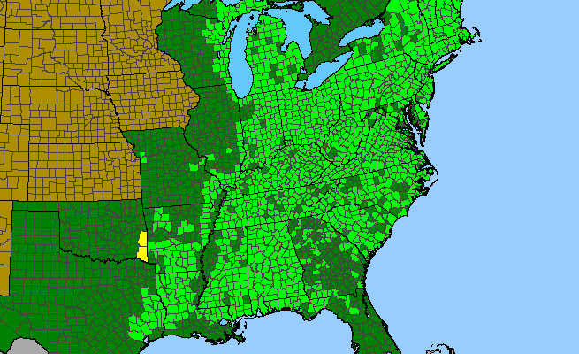 The range of Fagus grandifolia