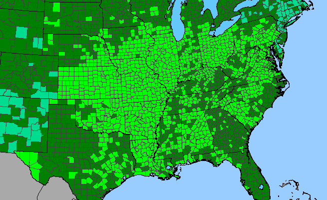The range of Gleditsia triacanthos