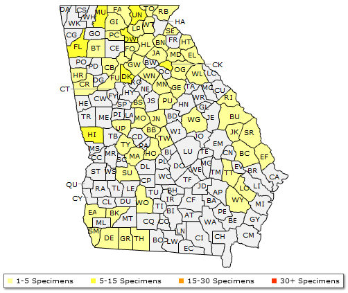 The range of Halesia tetraptera
