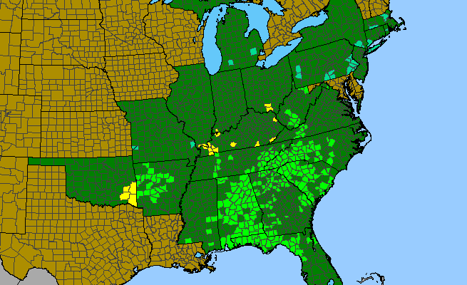 The range of Halesia tetraptera