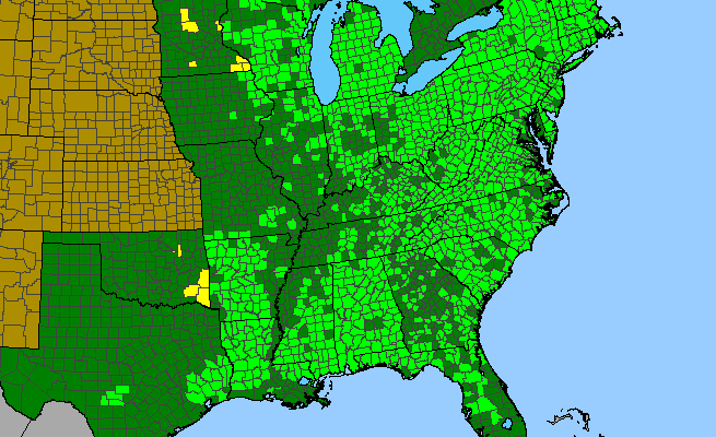 The range of Hamamelis virginiana