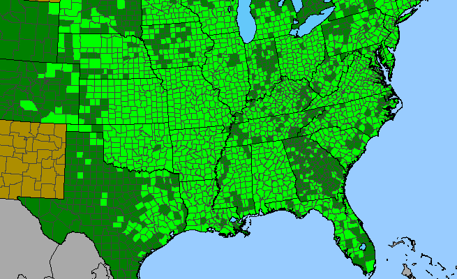 The range of Juniperus virginiana