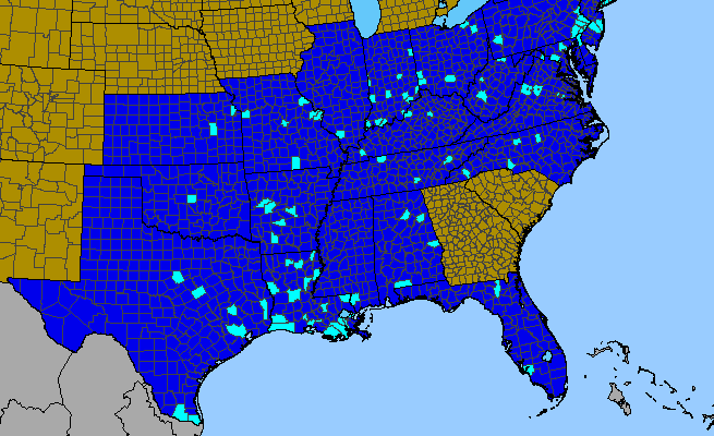 The range of Ilex opaca