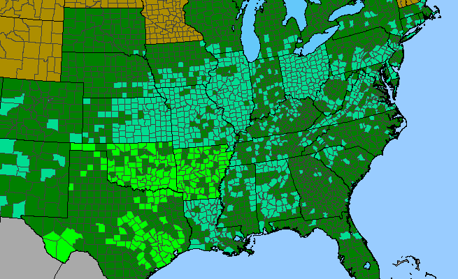 The range of Maclura pomifera
