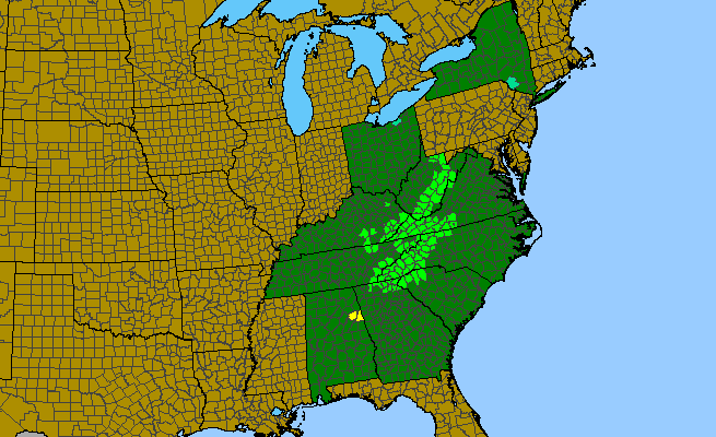 The range of Magnolia fraseri